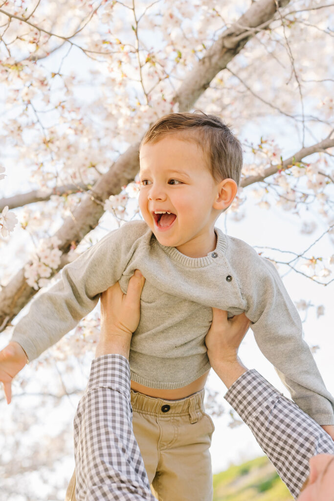 Utah Capitol Cherry Blossoms | Utah Family Photographer