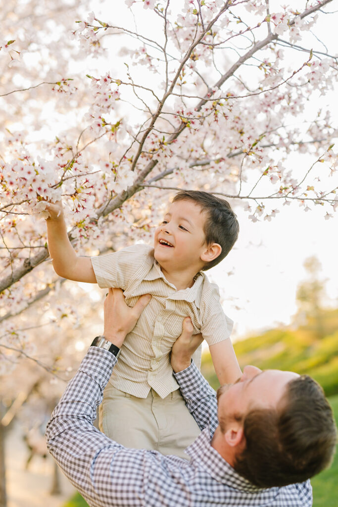 Utah Capitol Cherry Blossoms | Utah Family Photographer