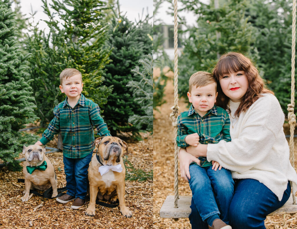 Christmas Tree Family Pictures | Utah Photographer