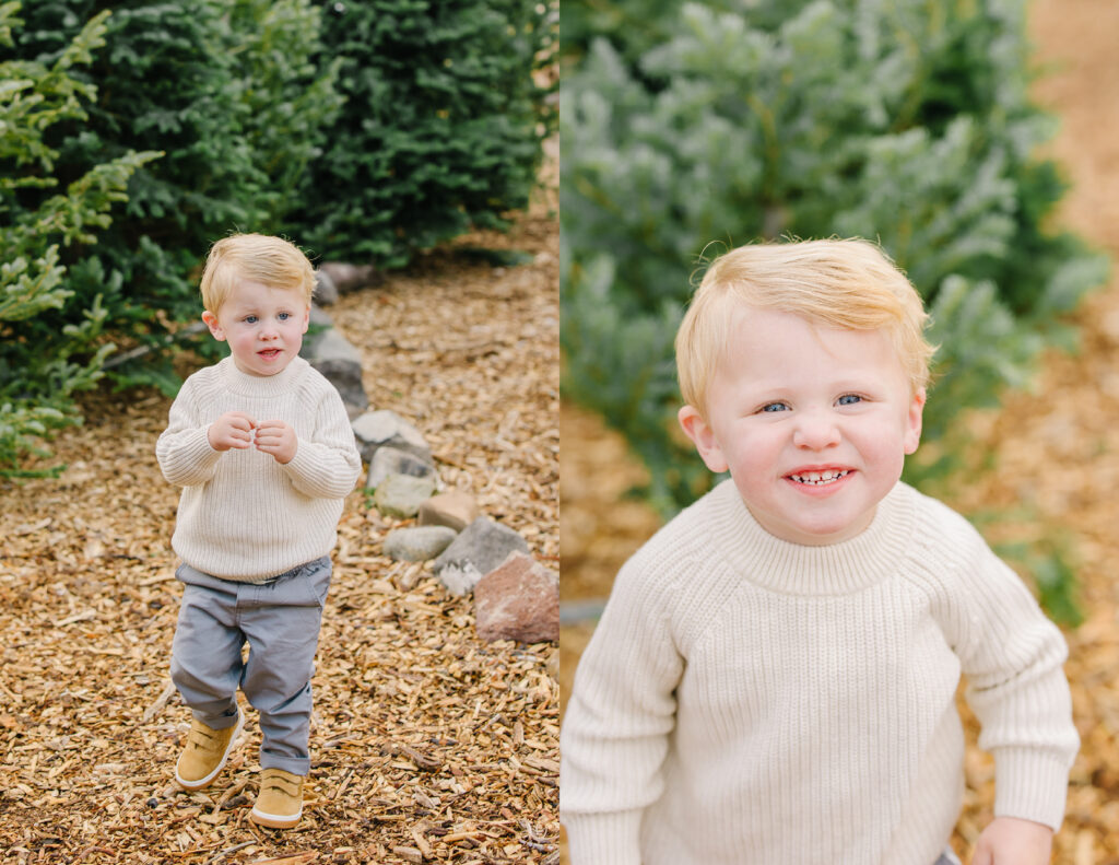 Christmas Tree Mini Session | Kinlands Farm Utah