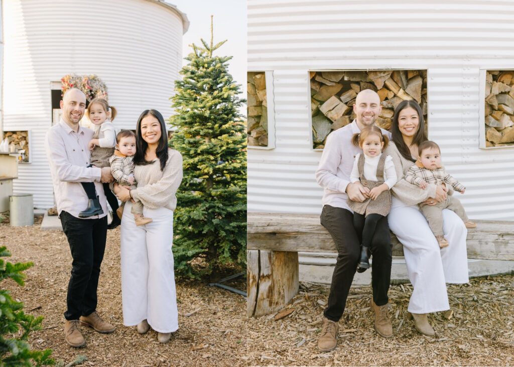 Kinlands Christmas Mini