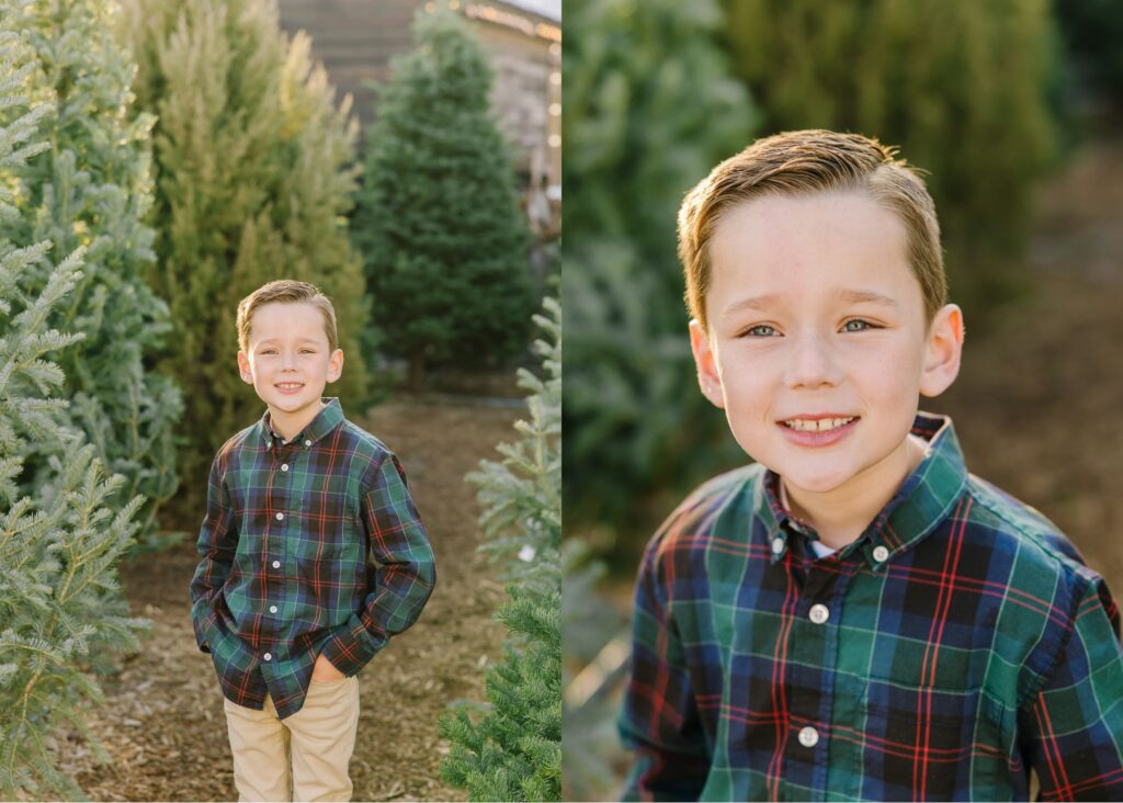 Christmas Tree Mini Session | Kinlands Farm