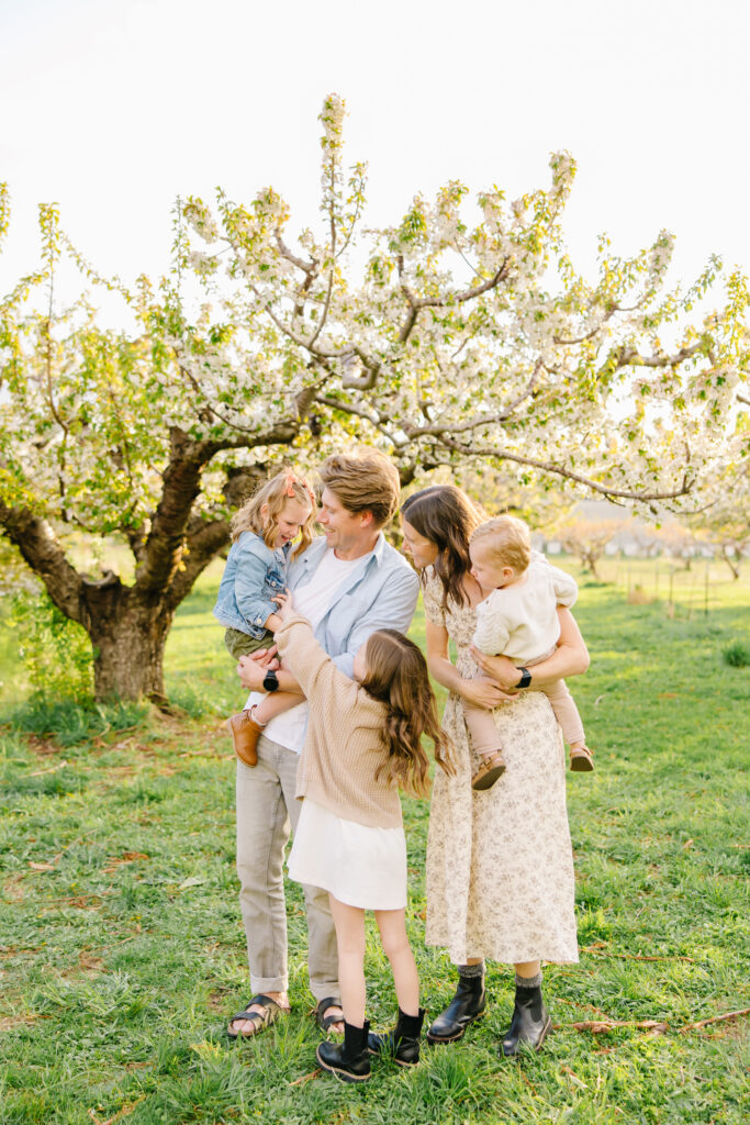 Orchard Family Pictures | Lunt