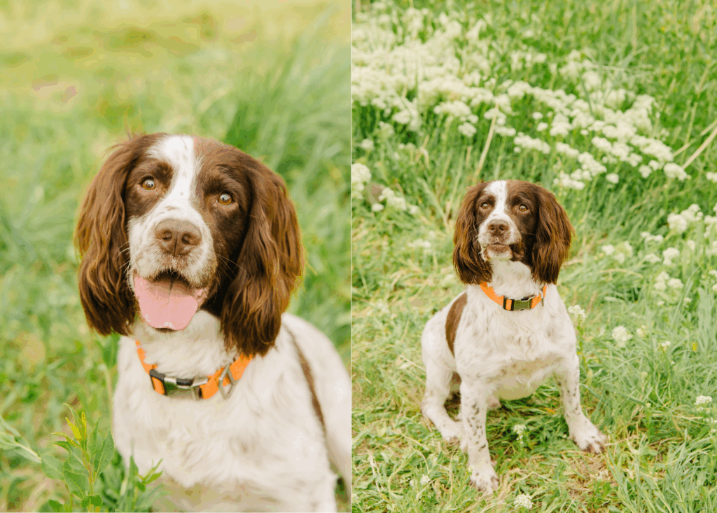 Bountiful Pond Family Session | Wood Family