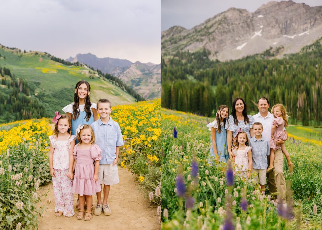 Albion Basin Photography | Van Wagoner Family