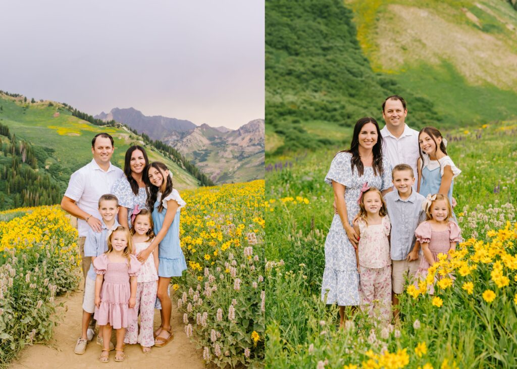 Albion Basin Photography | Van Wagoner Family