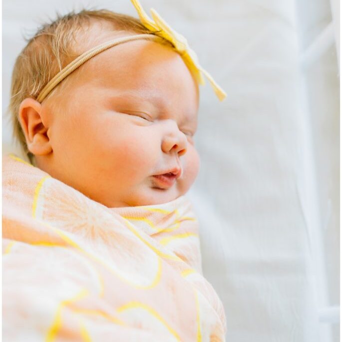 Baby Lucy | American Fork Fresh 48 Session