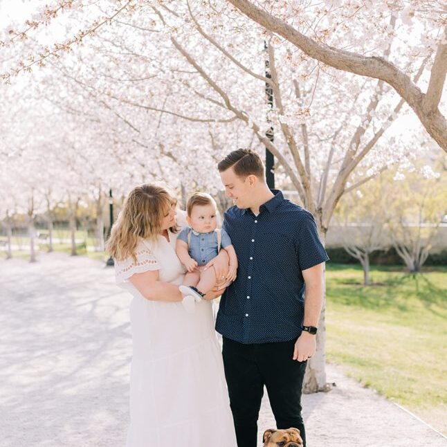 Everything you need to know about shooting at the Utah State Capitol Cherry Blossoms | Utah Family Photographer